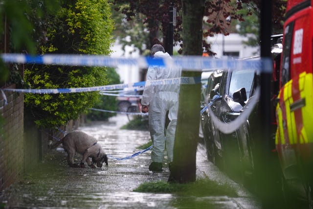 A forensics officer with a dog is seen in Kentish Town, north London