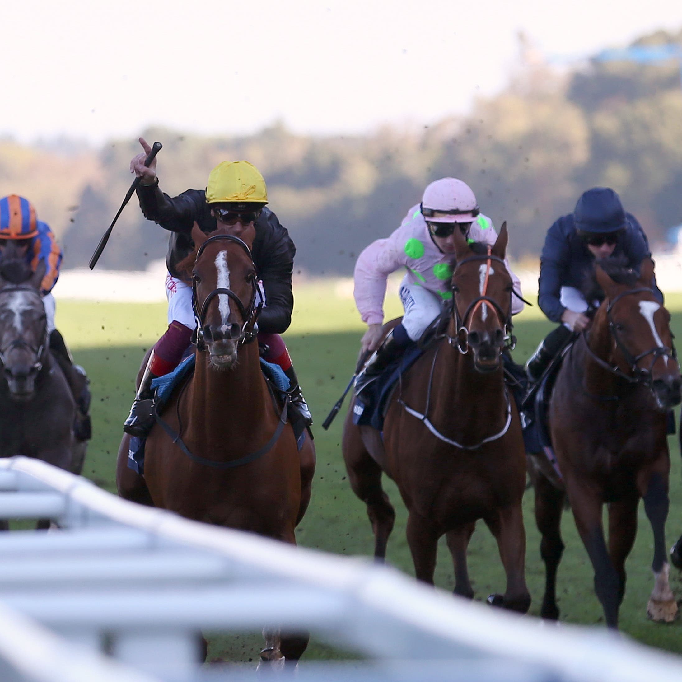 Stradivarius and Frankie Dettori win the Long Distance Cup at Ascot