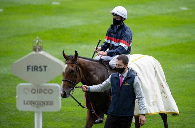 Sir Busker after winning the Silver Royal Hunt Cup in 2020
