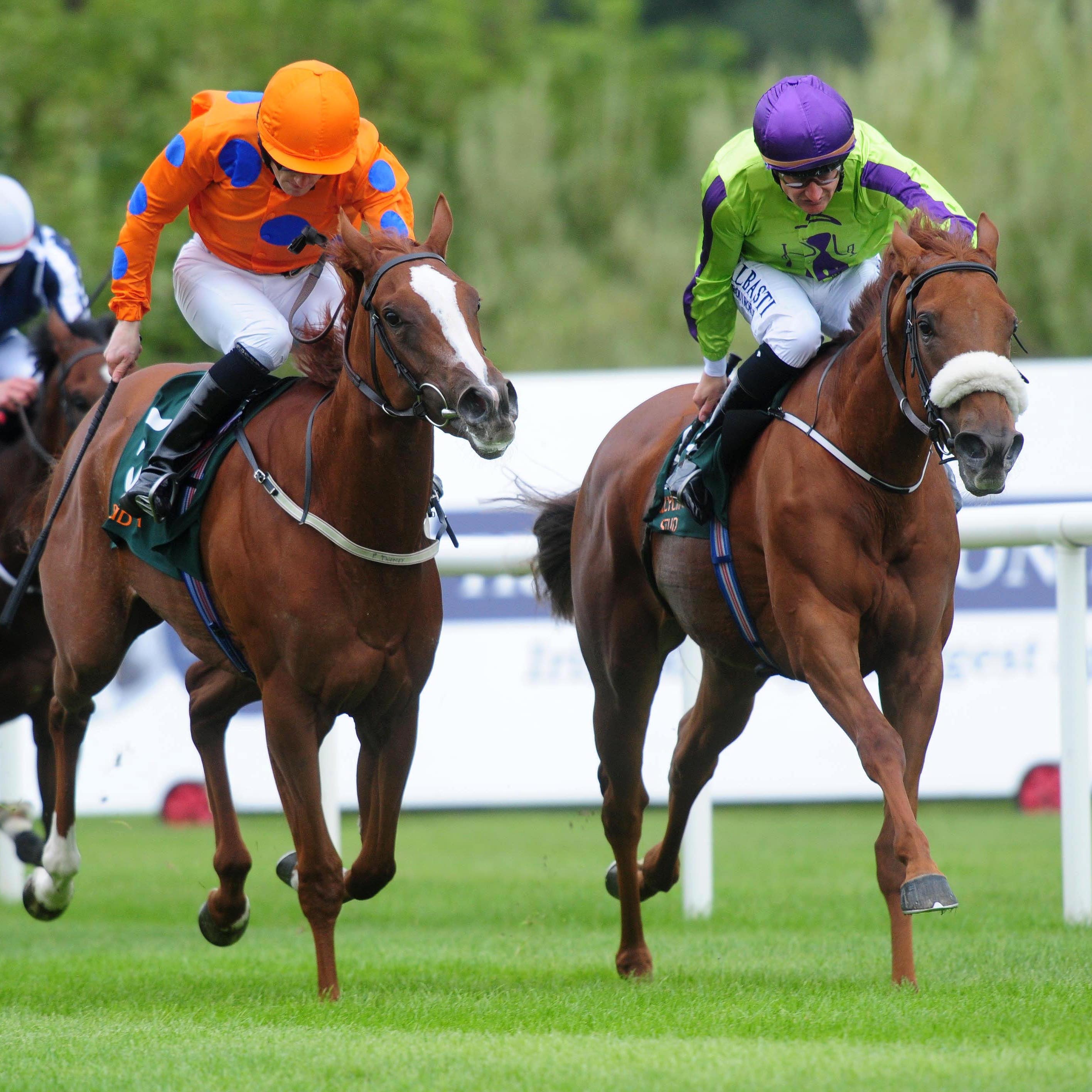 Foxtrot Liv (left) is narrowly denied by Sparkle'n'joy at Leopardstown