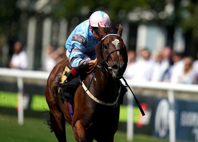 Astral Beau at Newmarket last season