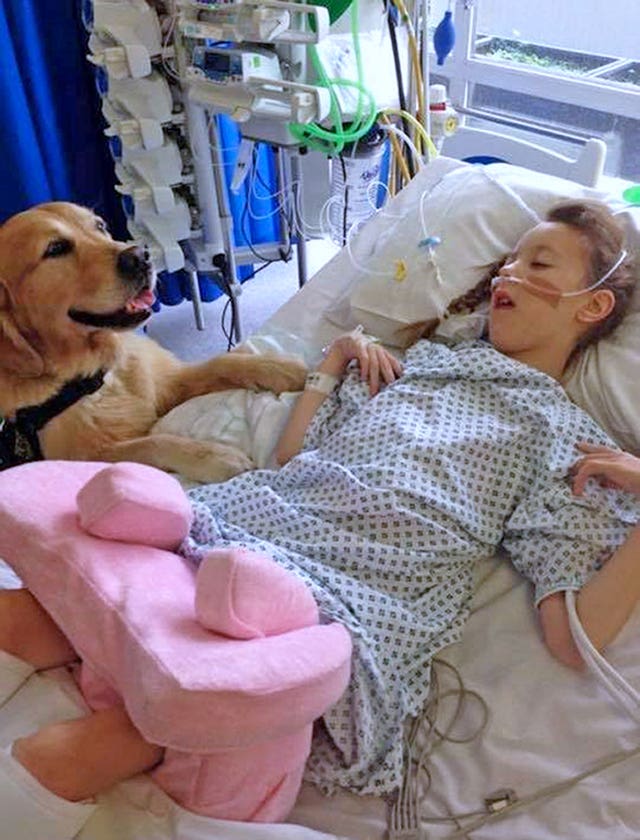 Therapy dogs help youngsters
