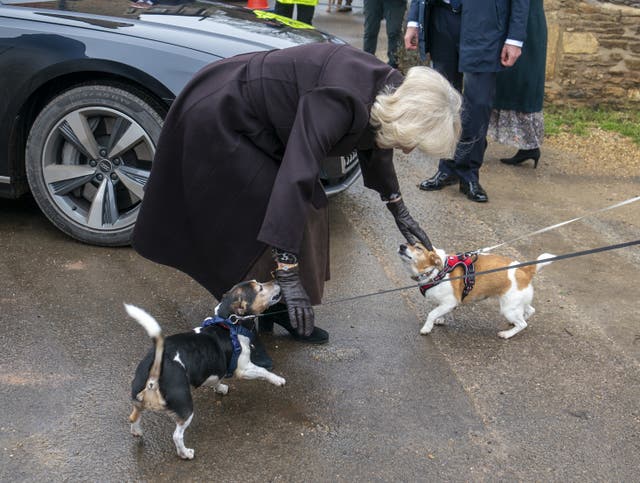 The Queen Consort with her rescue dogs Bluebell (right) and Beth (left) in Lacock (Arthur Edwards/The Sun/PA)
