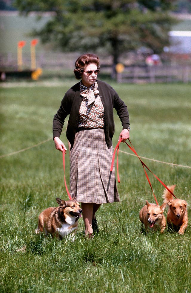 Queen Elizabeth II with some of her dogs