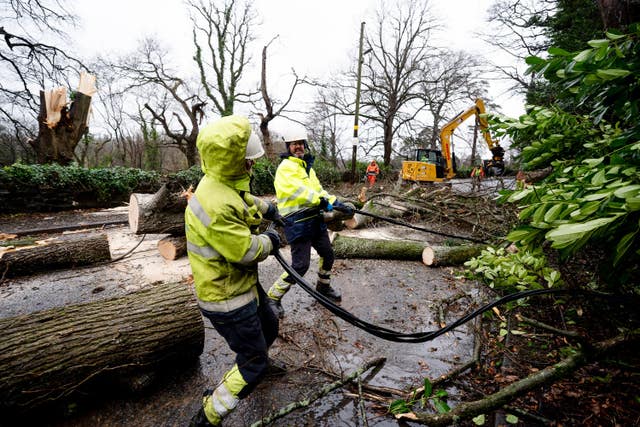 Two men in hi-hiz clothing work to clear fallen trees