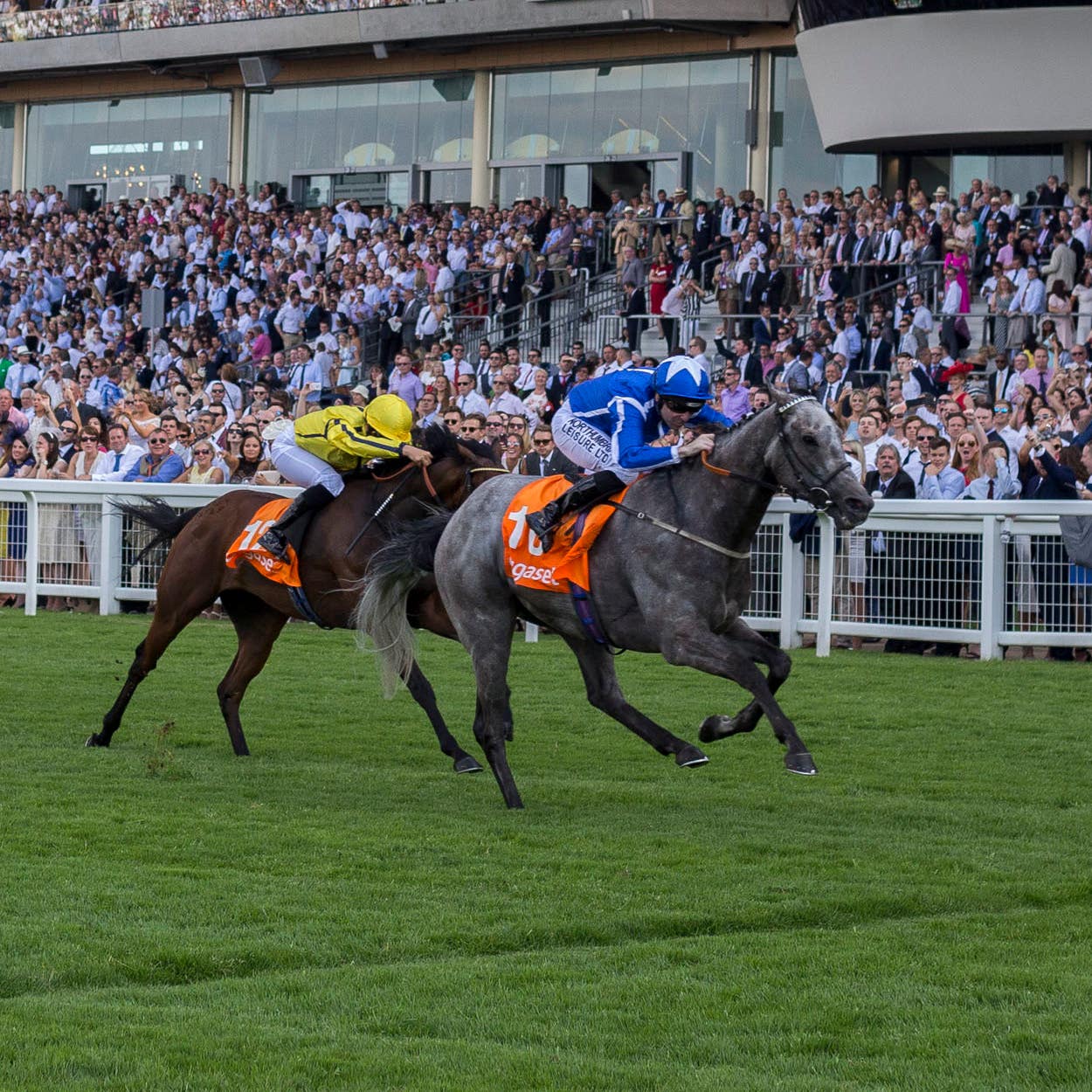 Librisa Breeze winning at Ascot