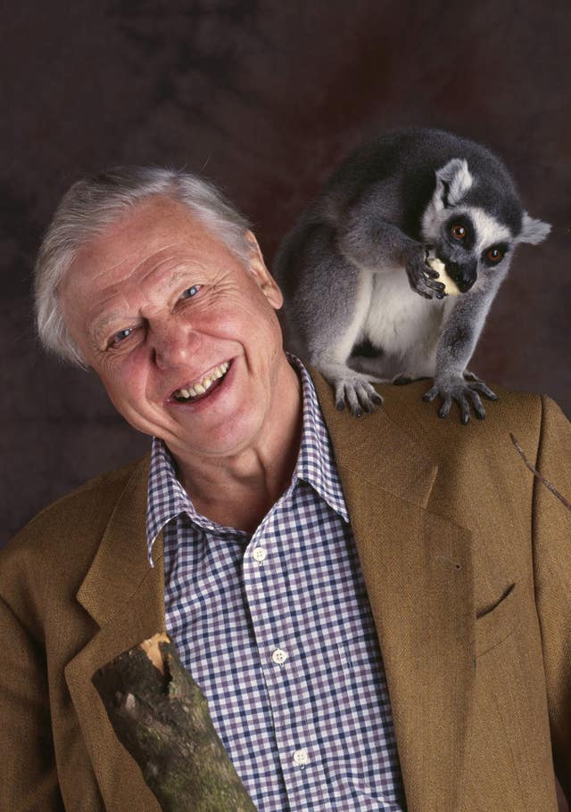 David Attenborough 90th birthday