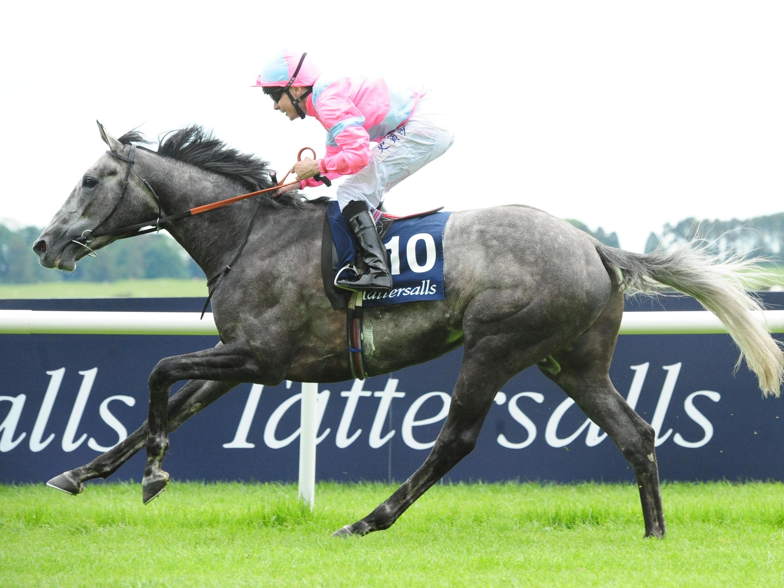 Phoenix Of Spain And Too Darn Hot On Course For Rematch Pa Sport Gg Co Uk