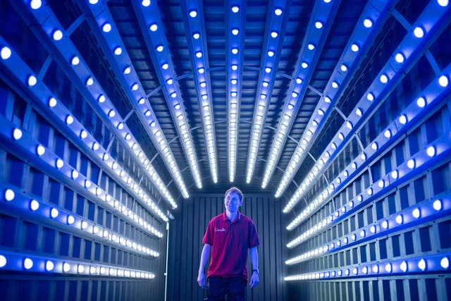 Project manager James Armitage walks through the vortex entrance tunnel leading to The Magical Forest at Legoland Windsor