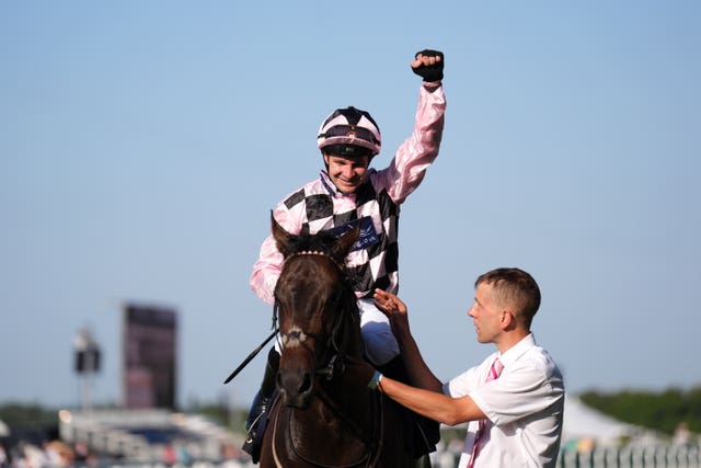 Havana Hurricane was a Royal Ascot winner 