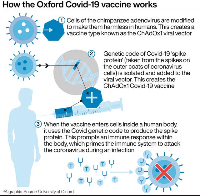 How the Oxford Covid-19 vaccine works