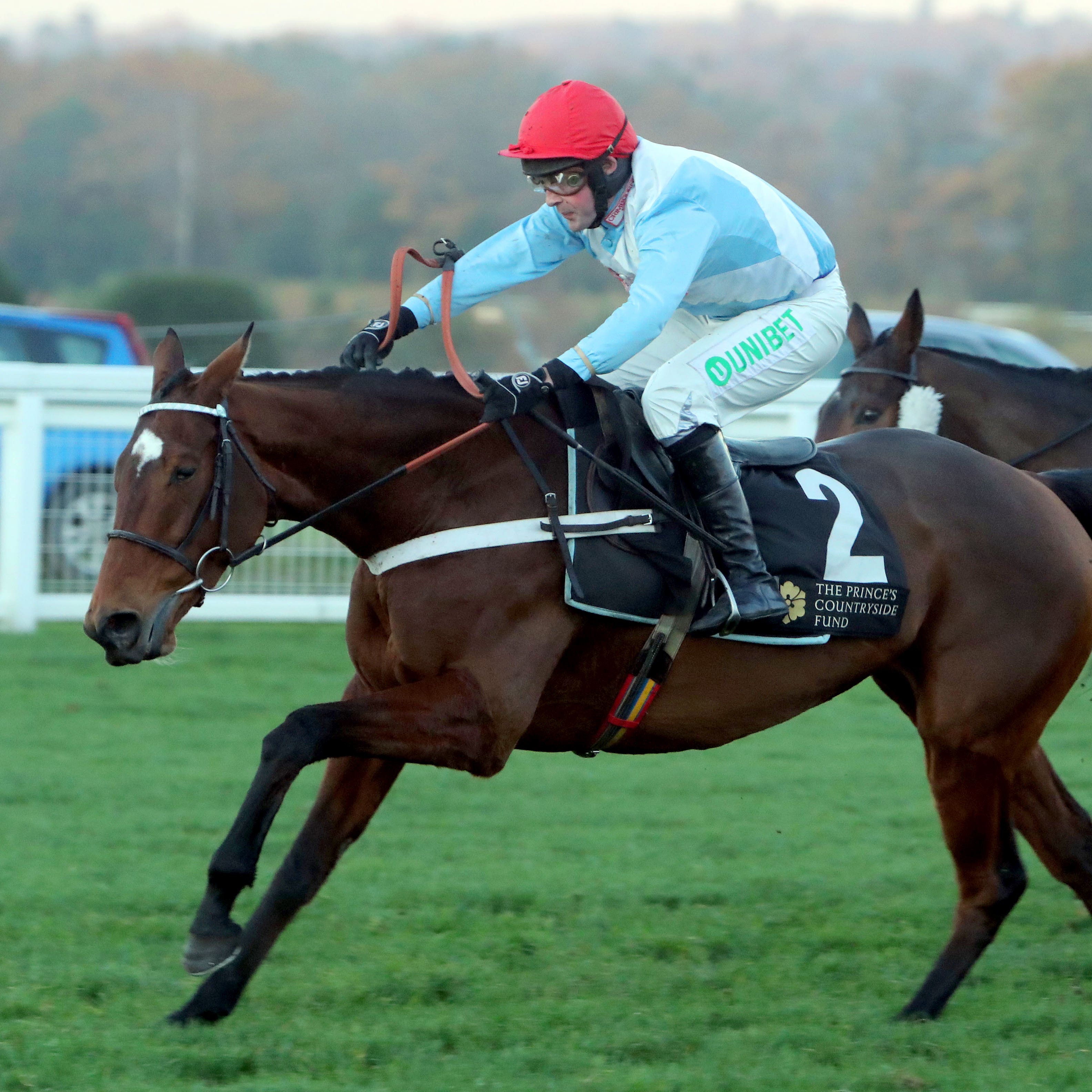 Verdana Blue would not run with top weight in the Greatwood