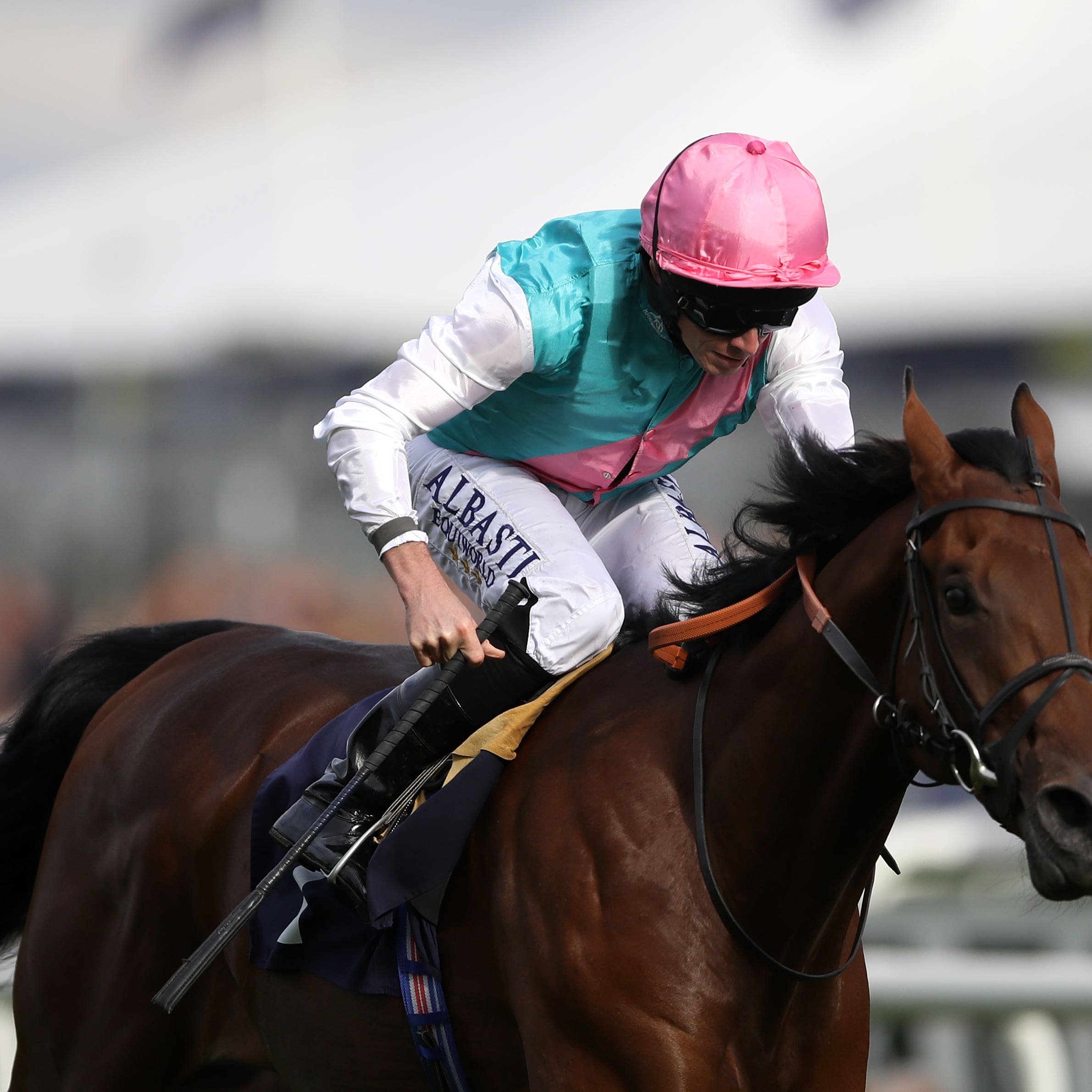 Hopes are high that Sangarius will develop into a top-class horse next year