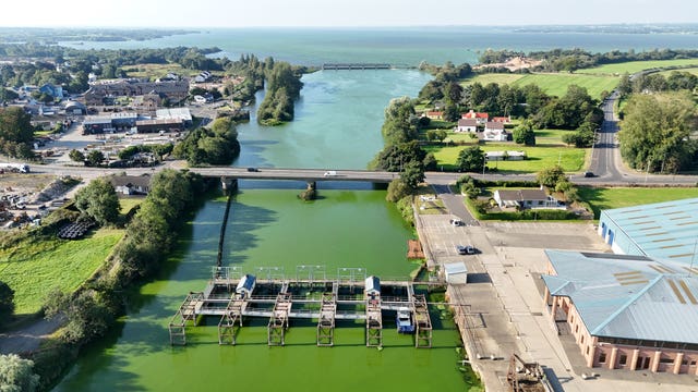 Blue-green algae on Lough Neagh