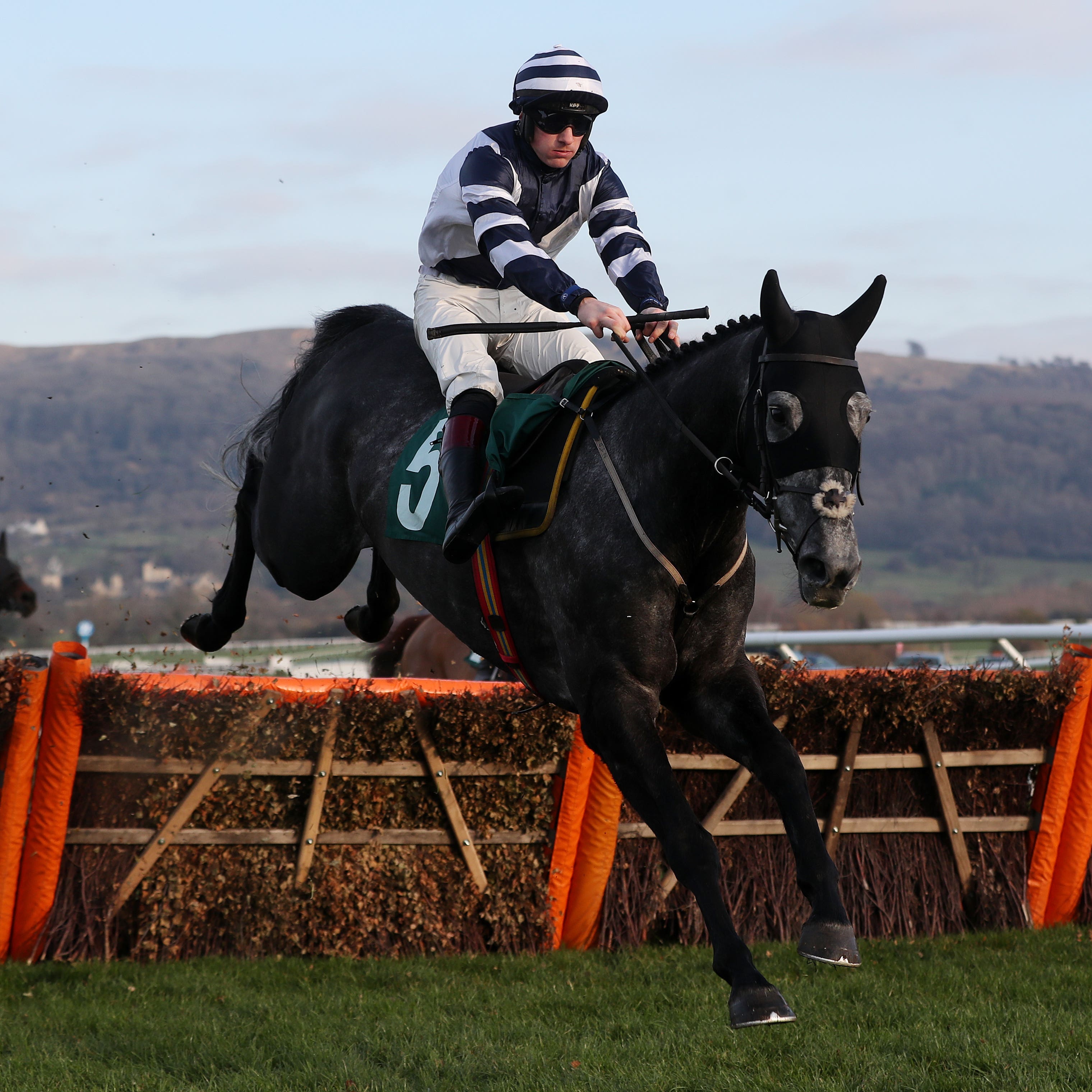 Al Dancer is likely to go novice-chasing next season