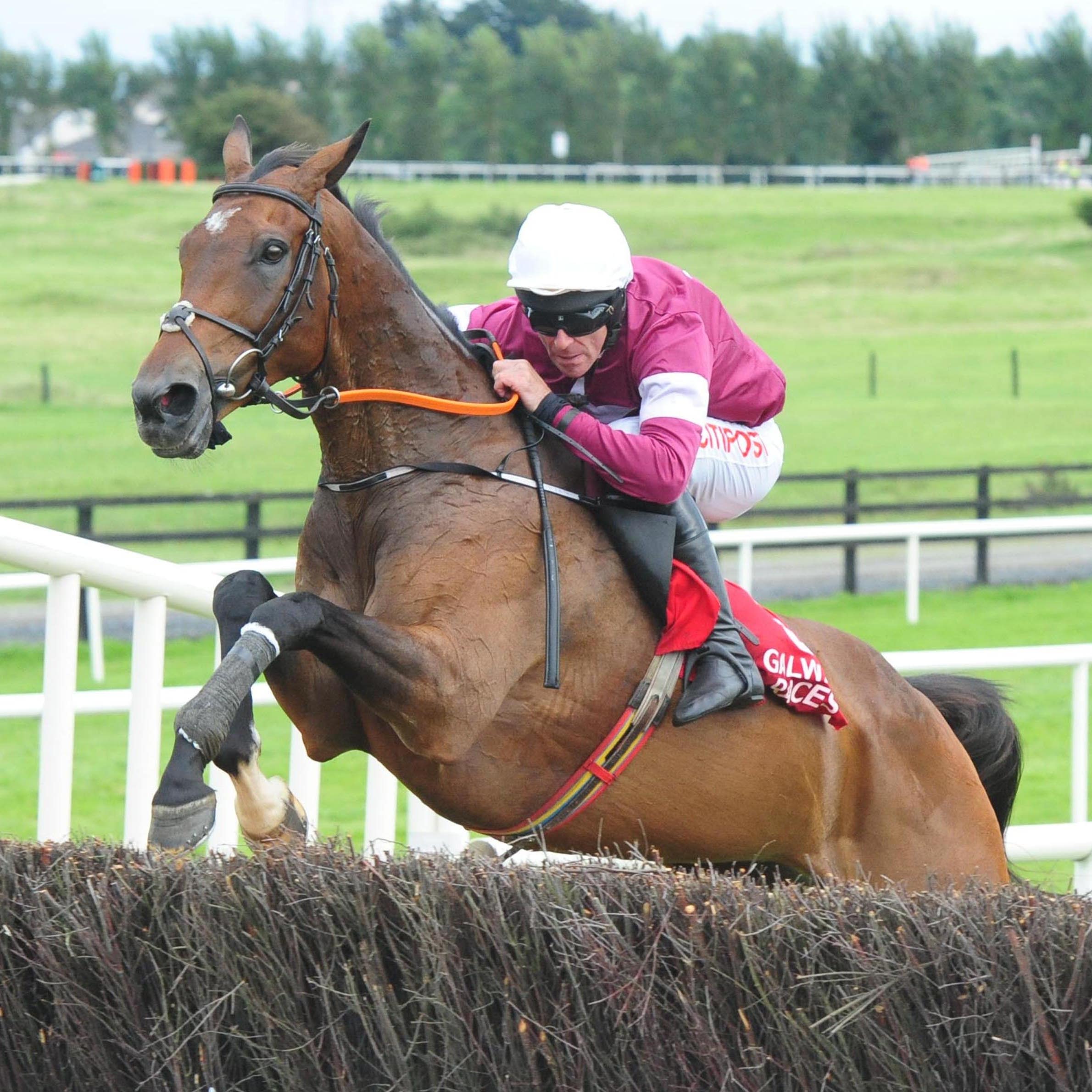 Sub Lieutenant was an emphatic winner of the Irish Daily Star Chase