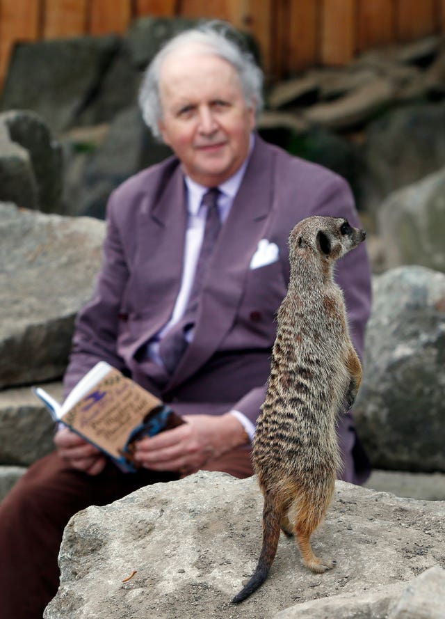 Meerkat enclosure at Edinburgh Zoo