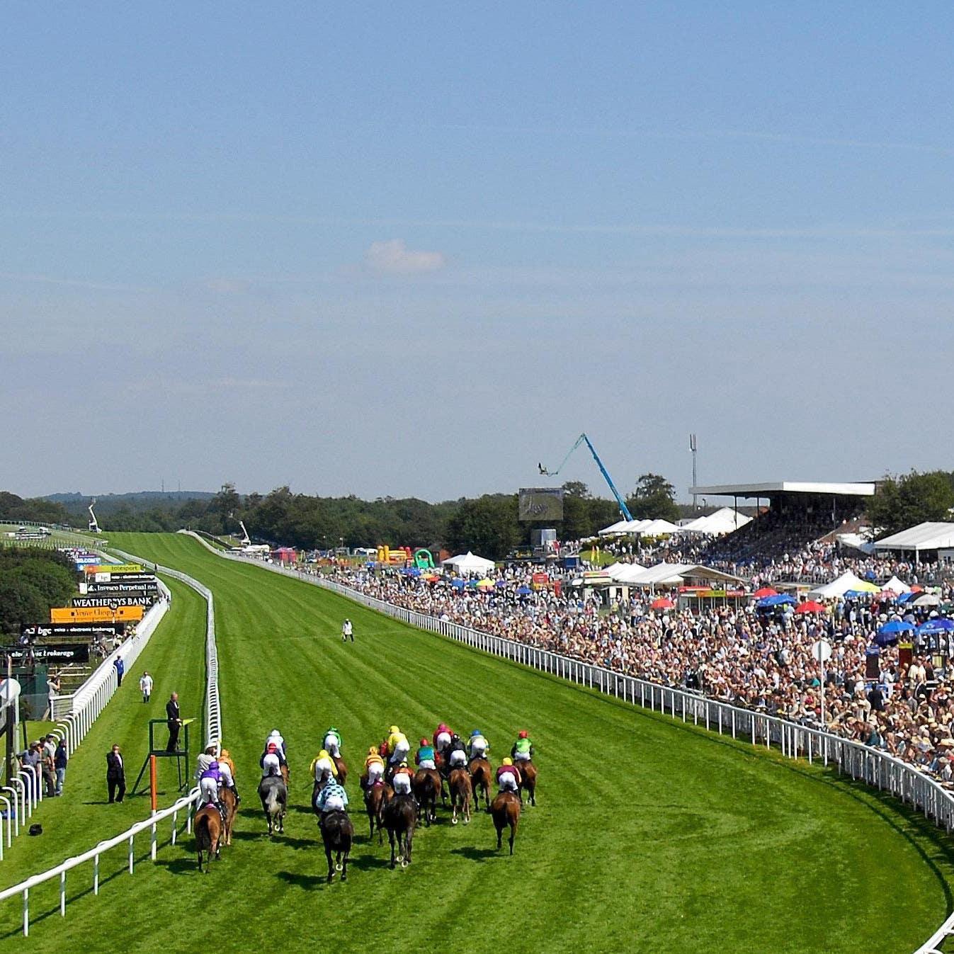 Raa Atoll could make an appearance at Glorious Goodwood