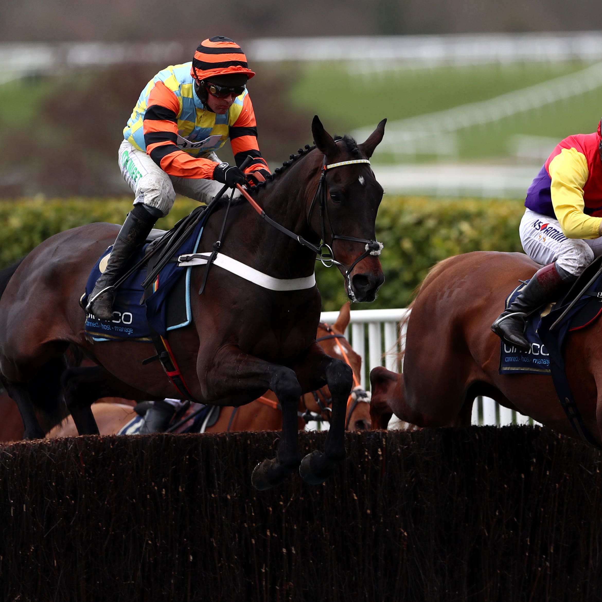 Native River (right) sees off Might Bite to claim Cheltenham Gold Cup glory (Tim Goode/PA)