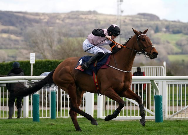 Bob Olinger winning at last season's Cheltenham Festival 