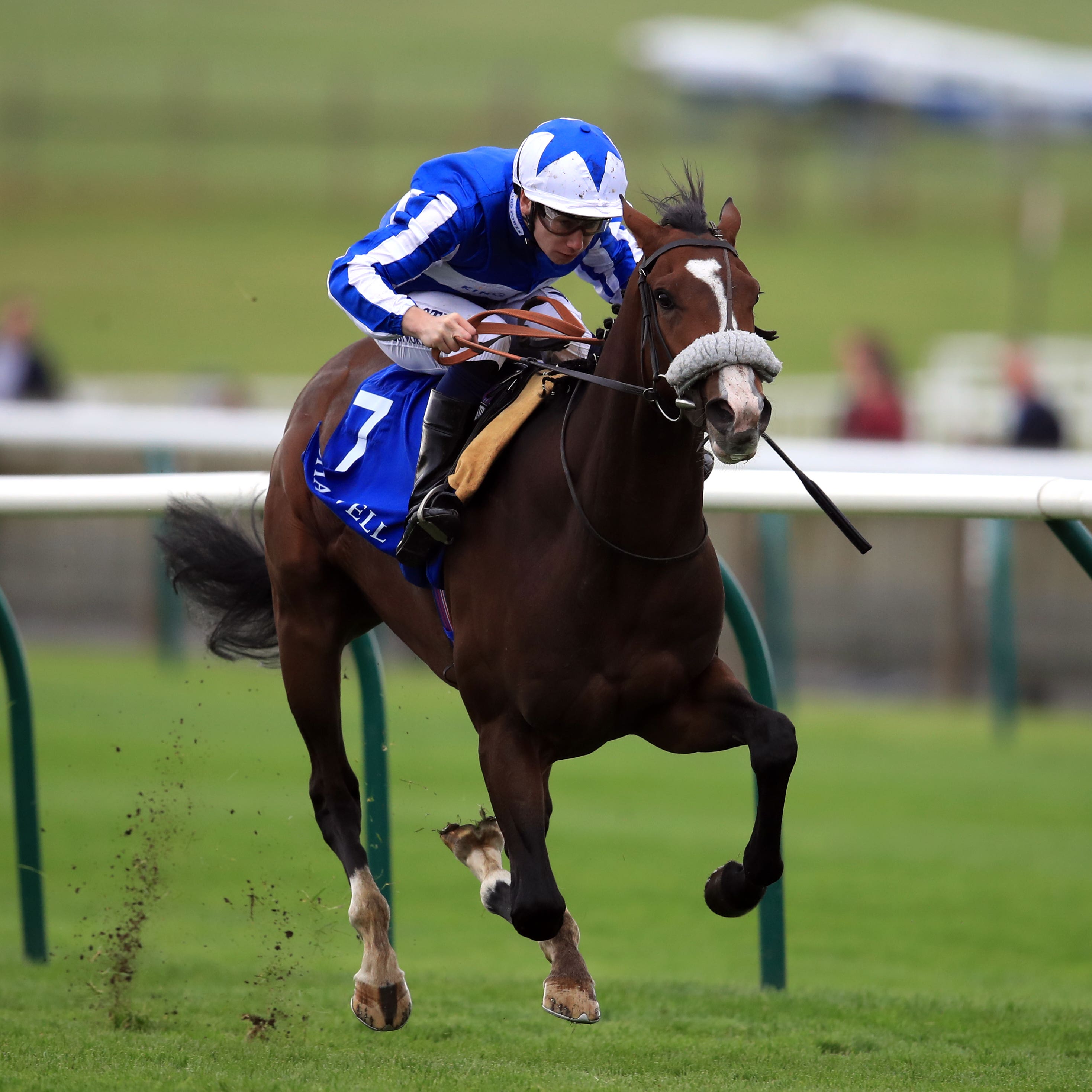 Beat The Bank - bittersweet win at Ascot