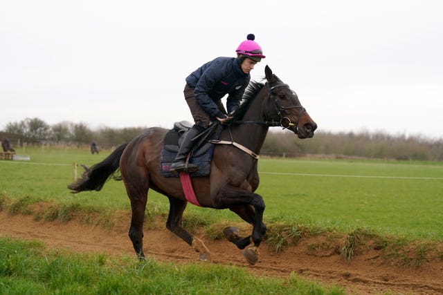 Dysart Enos on the gallops at Fergal O'Brien's yard