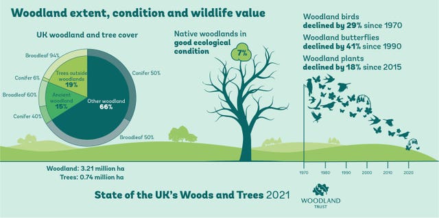 Infographic showing the benefits of woodlands 
