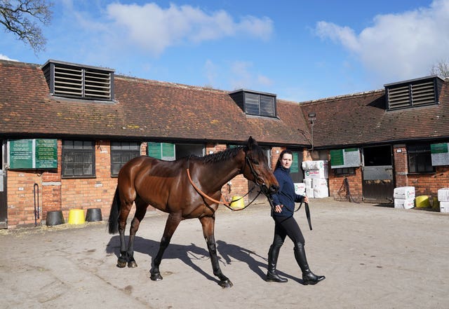 Threeunderthrufive with a stable hand during a visit to Manor Farm Stables