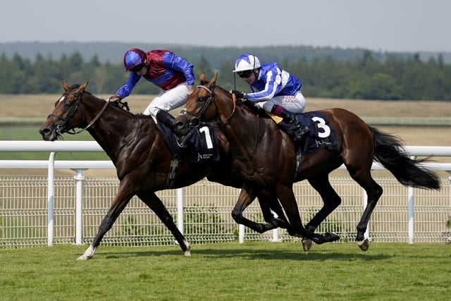 Jan Brueghel beat Bellum Justum at Goodwood