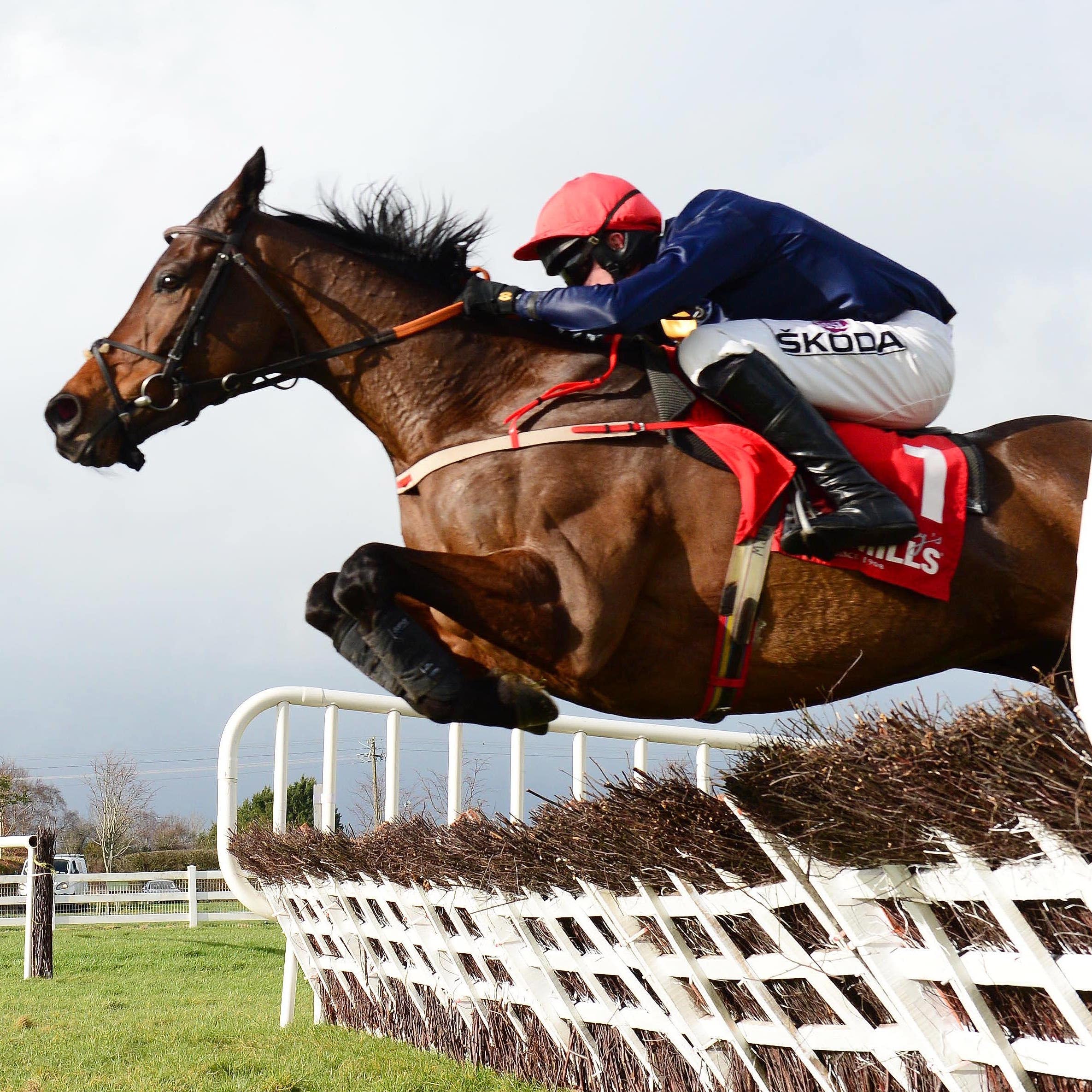 City Island and Mark Walsh jump the last to win in style at Naas
