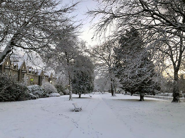 Park area blanketed in snow