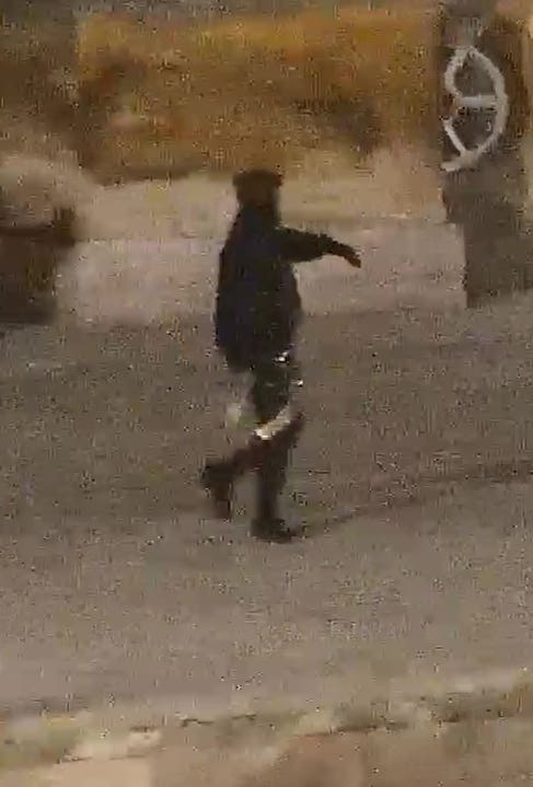 One of the thieves carrying a gold toilet seat in the courtyard at the front of Blenheim Palace