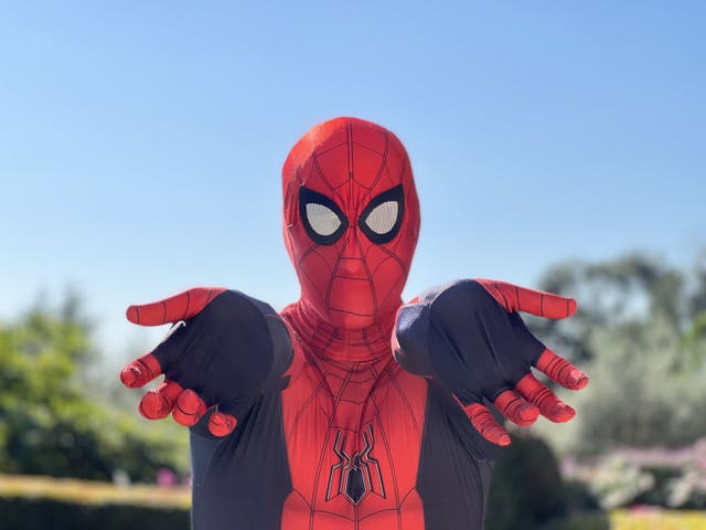 The Duke of Sussex dressed as Spider-Man 