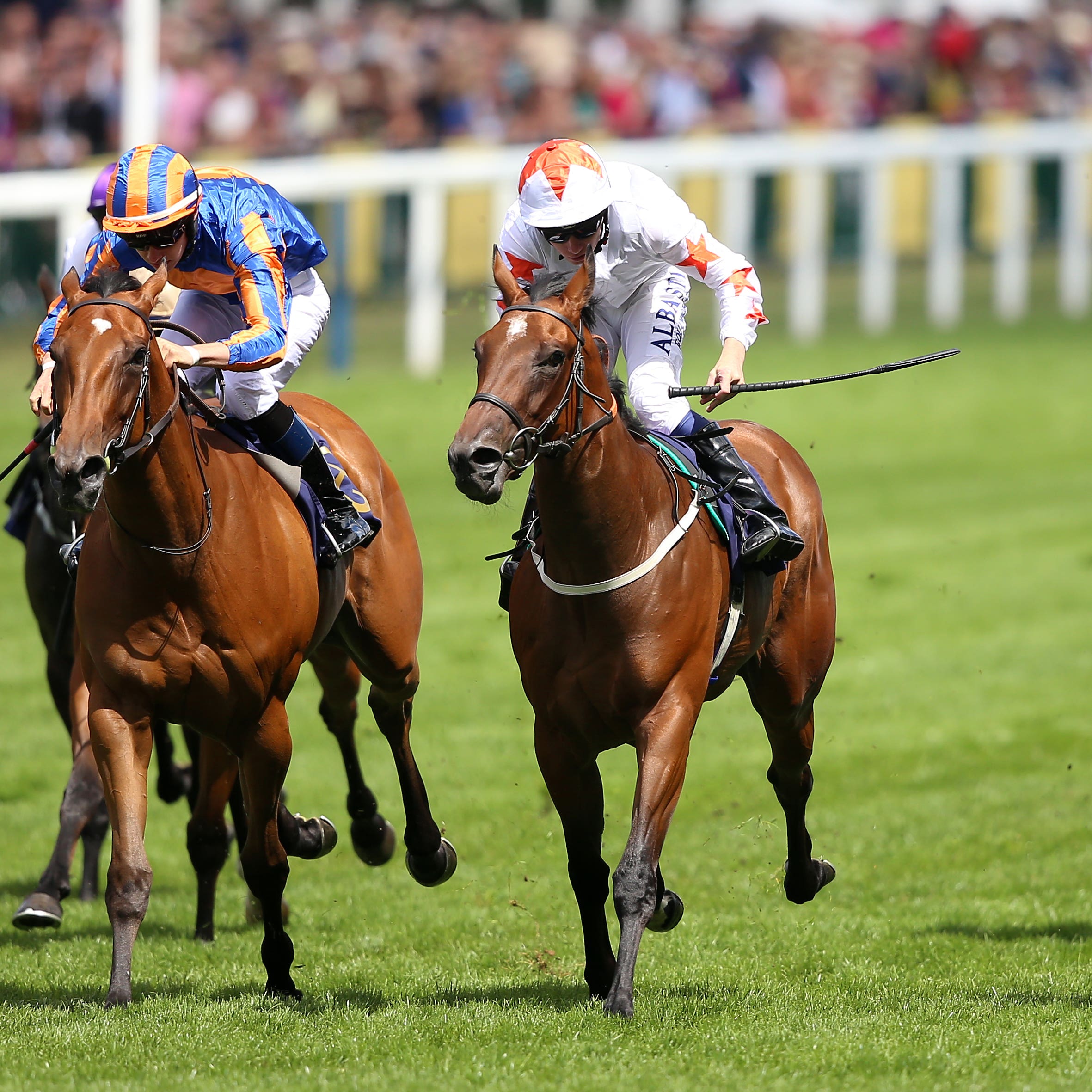 Signora Cabello (white) prevails in a tight finish to the Queen Mary