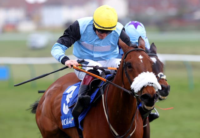 Milkwood took the Scottish Champion Hurdle in 2021