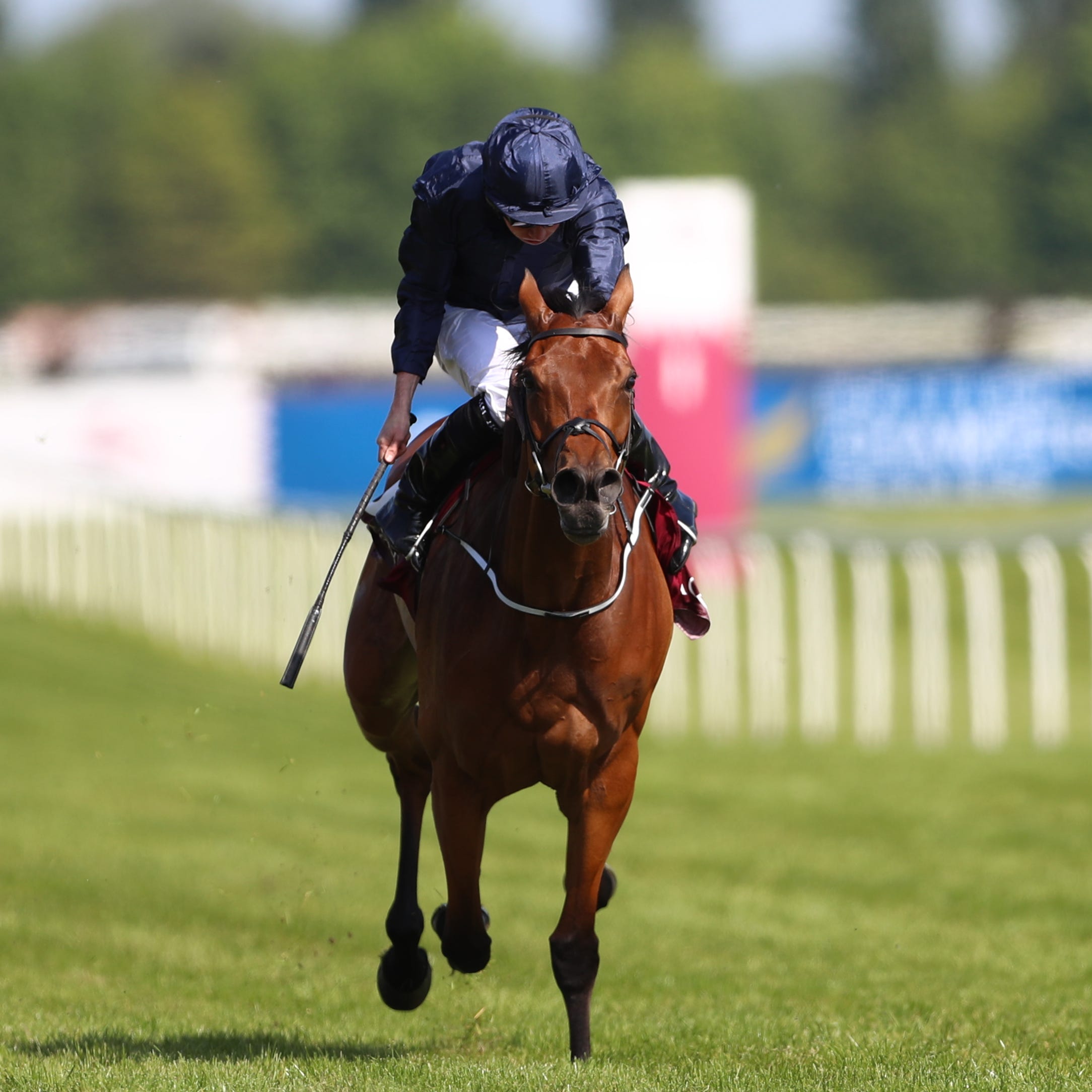 Ryan Moore drives Rhododendron to victory at Newbury (Tim Goode/PA)