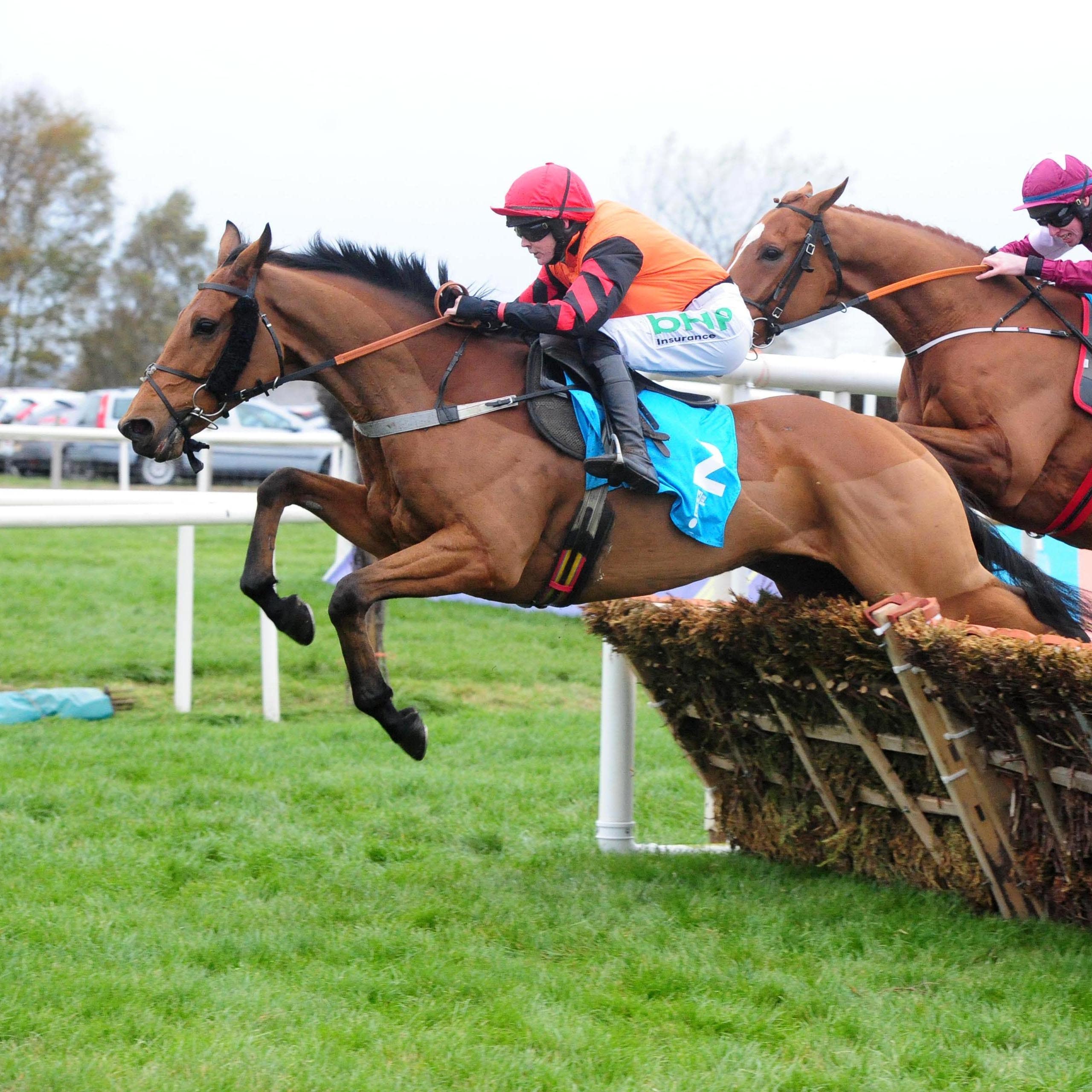 Bedrock on his way to beating Samcro at Down Royal last month