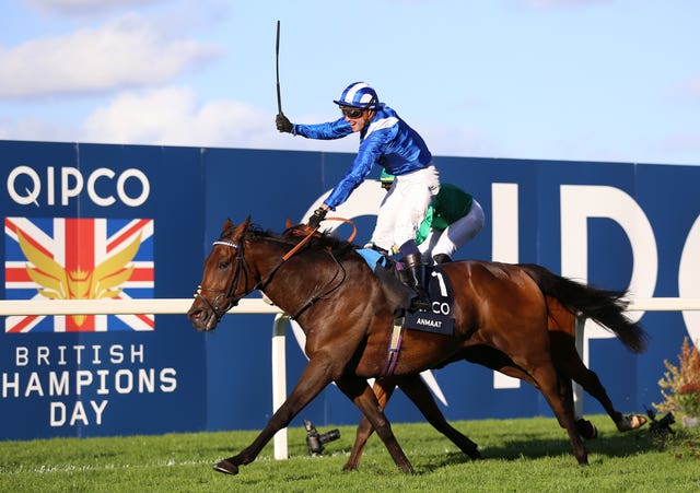 Jim Crowley punches the air as Anmaat crosses the line 