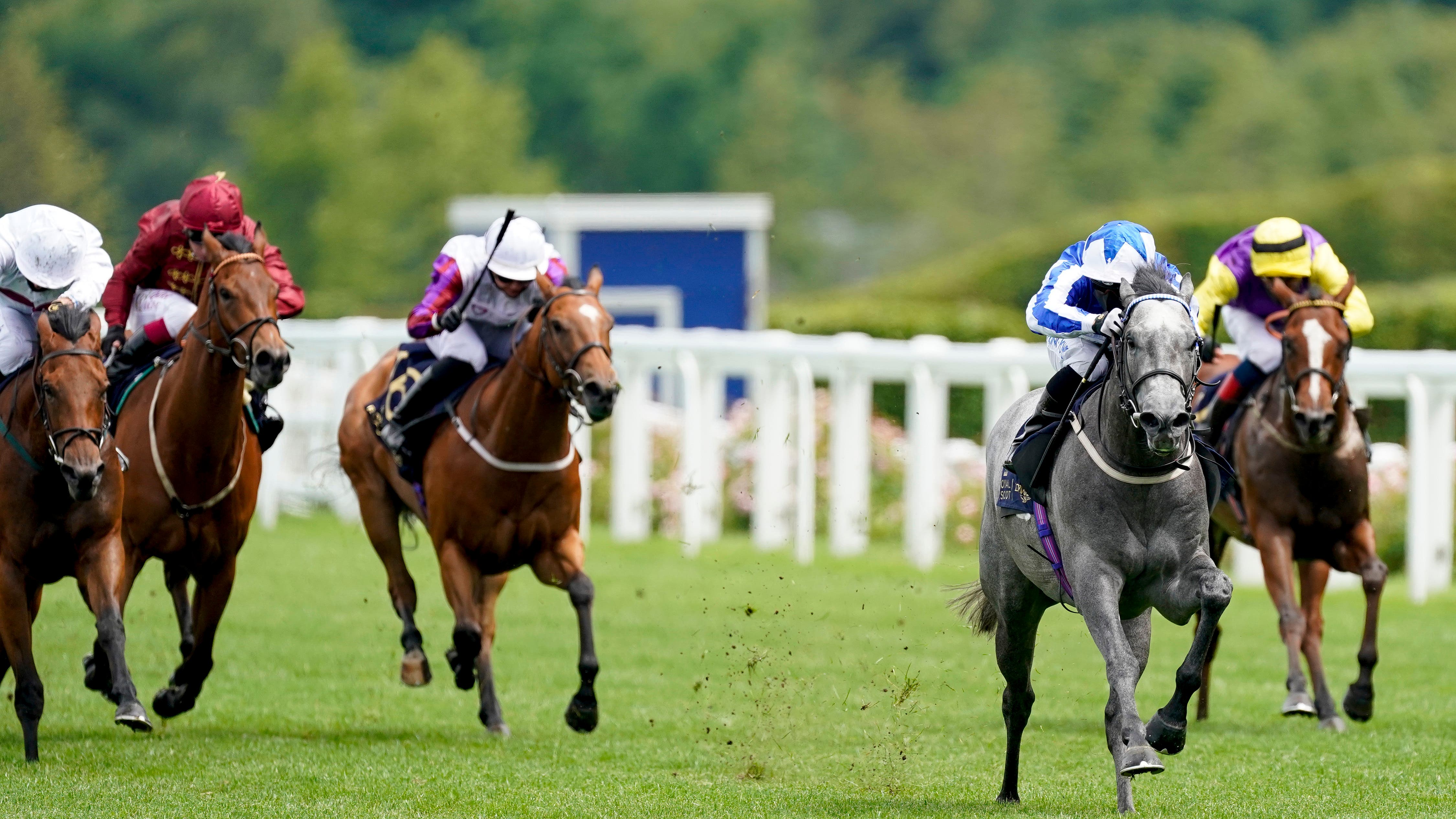 Nunthorpe art homework 02 picture