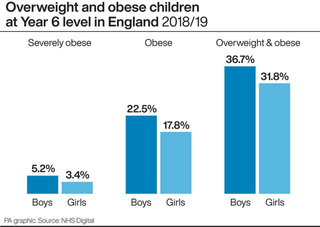 HEALTH Obesity