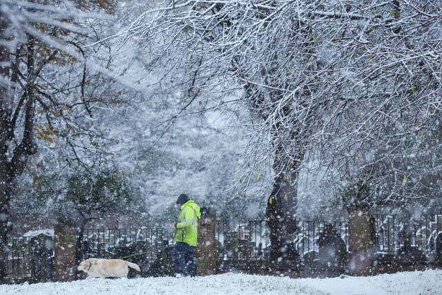 A person walking a dog during snowfall in Warwick 