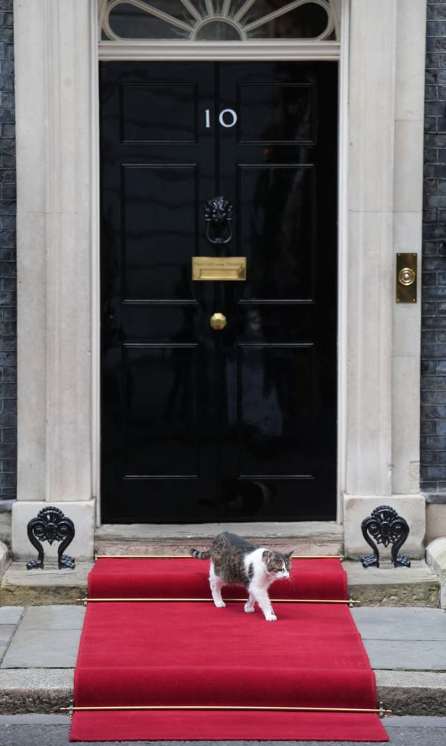 Larry on the red carpet in Downing Street 