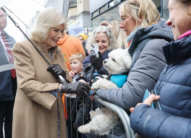 Camilla shaking the paw of a dog among a crowd of members of the public while another person takes a video of the interaction with her mobile phone