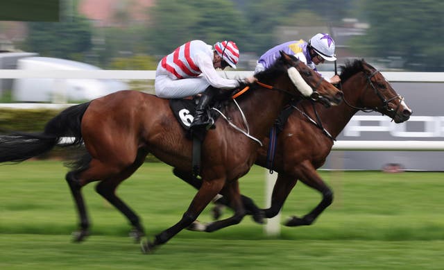 Bold Discovery (right) winning at Leopardstown