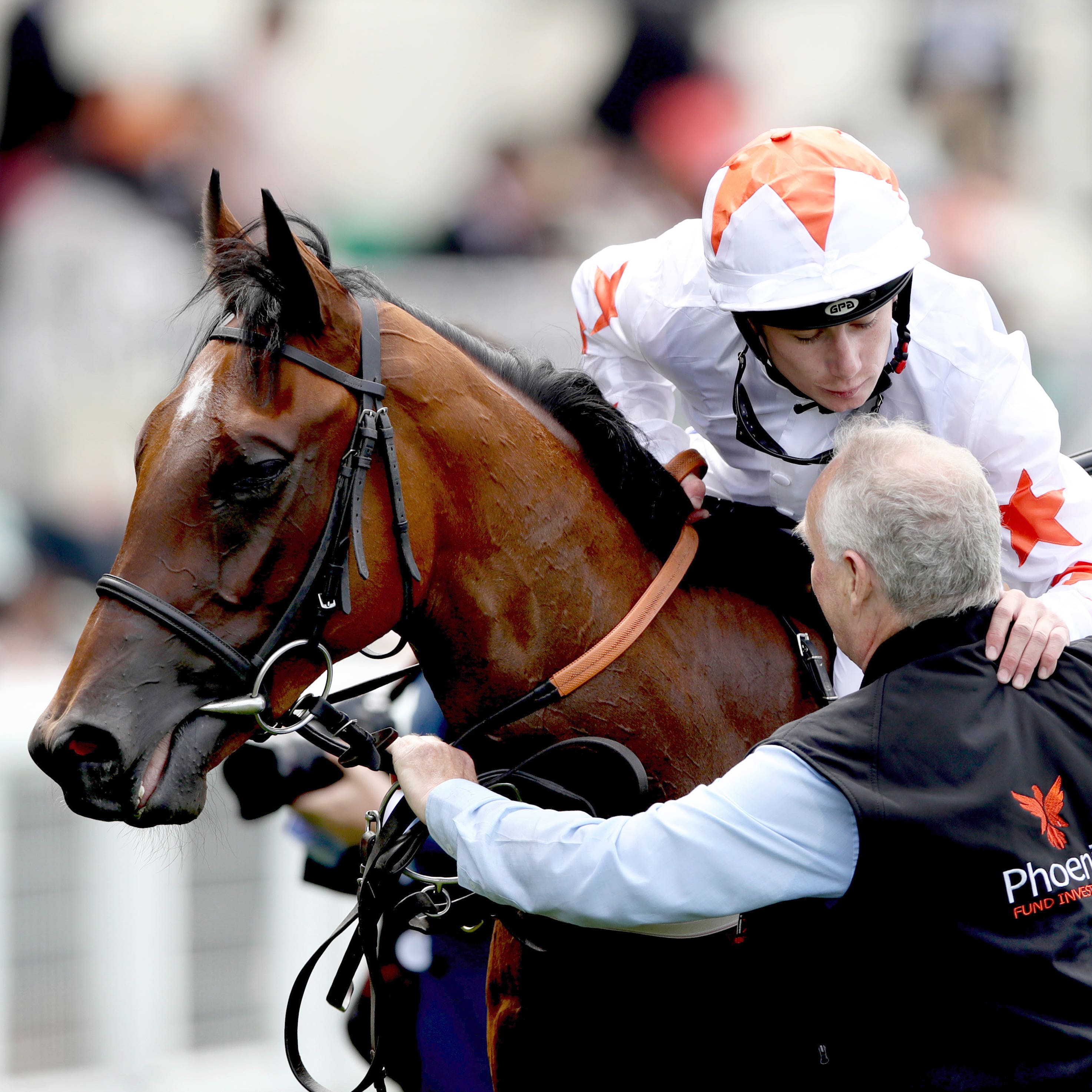 Signora Cabello after winning the Queen Mary at Royal Ascot