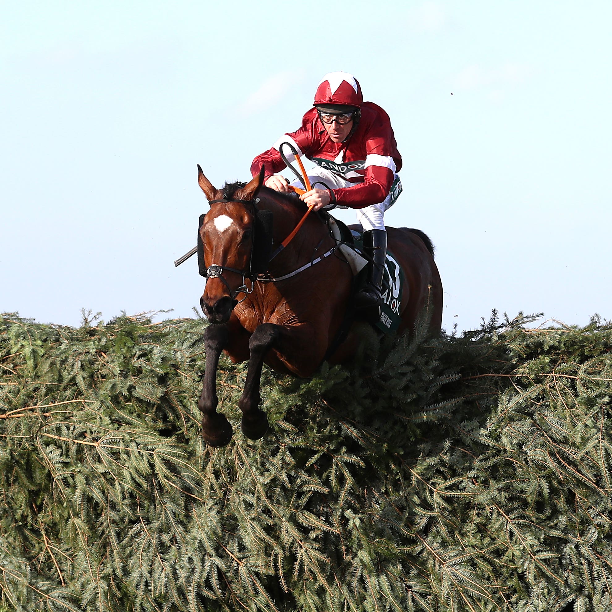 Tiger Roll on his way to National glory under Davy Russell