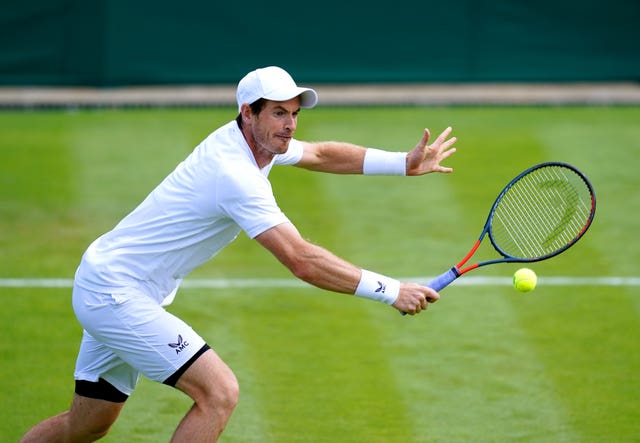 Andy Murray has been in fine form on the grass
