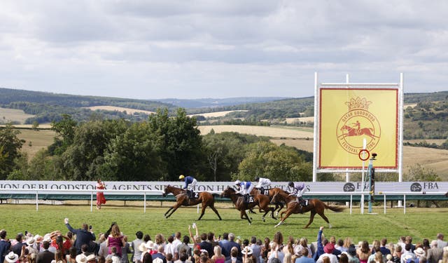 Ajero winning at Goodwood last year 