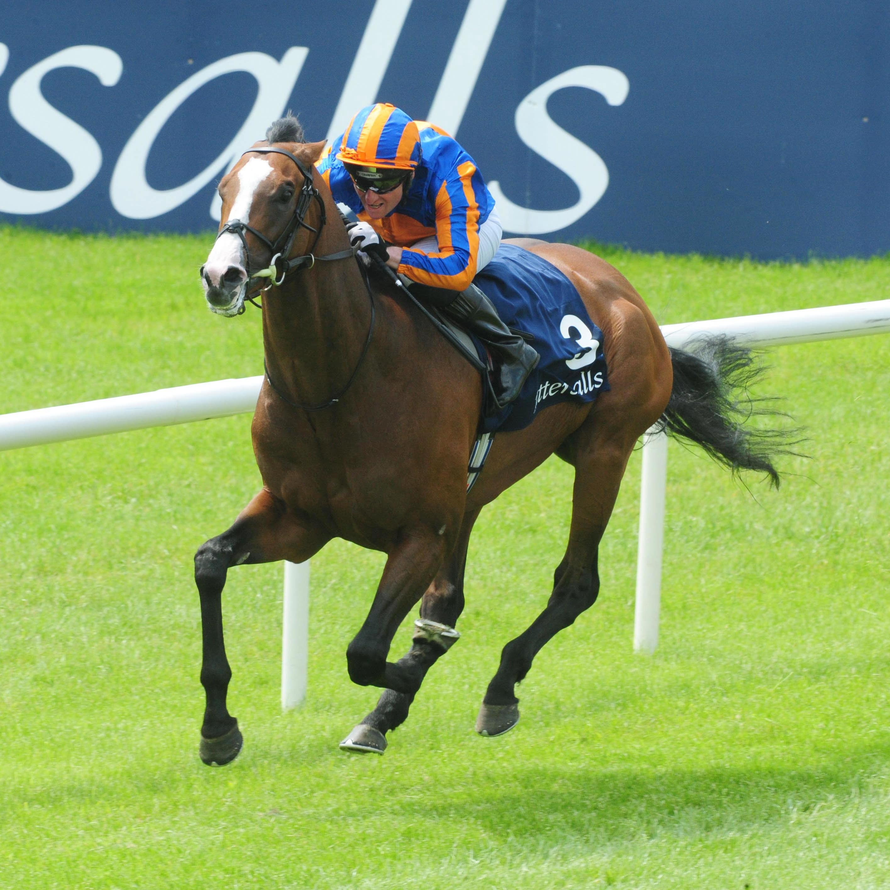 Lancaster Bomber on his way to winning the Tattersalls Gold Cup at the Curragh