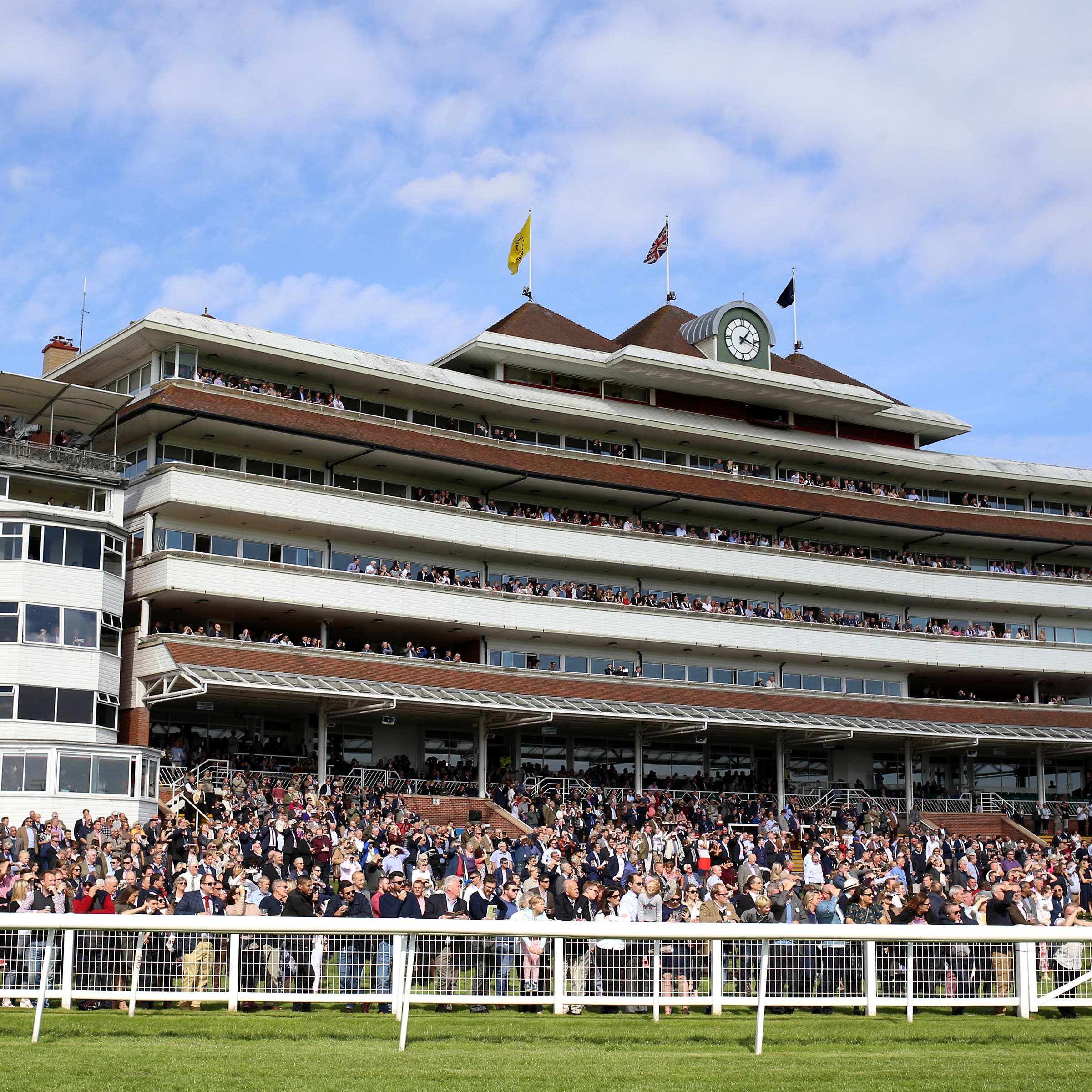Pyledriver could make his next appearance at Newbury